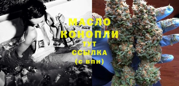 дурь Гусев