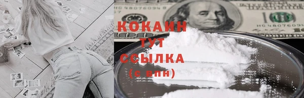 дурь Гусев