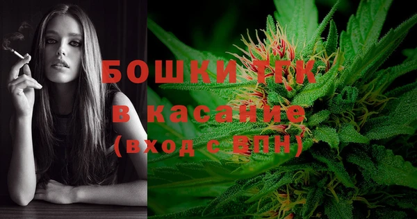 дурь Гусев