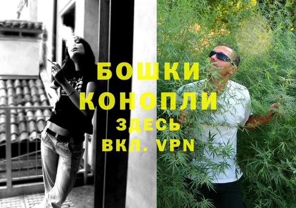 дурь Гусев