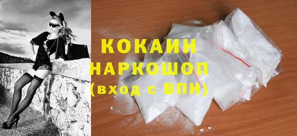 дурь Гусев