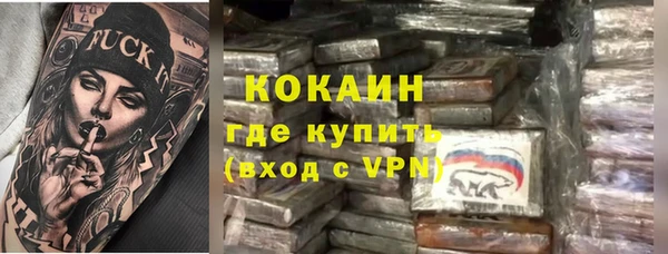 дурь Гусев